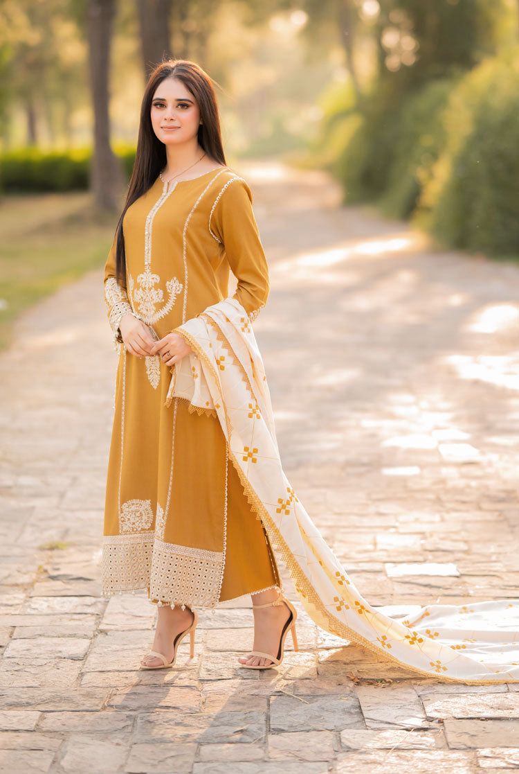 LAWN 3 Piece Embroidered Suit (Article 16)